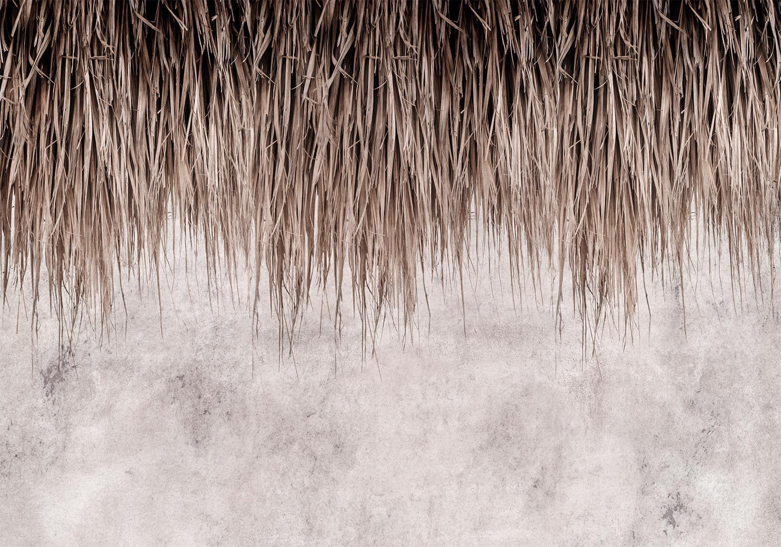 Fototapete „Palmenkronen“ – Exotisches Dschungel-Feeling für deine Wände sawelt.eu