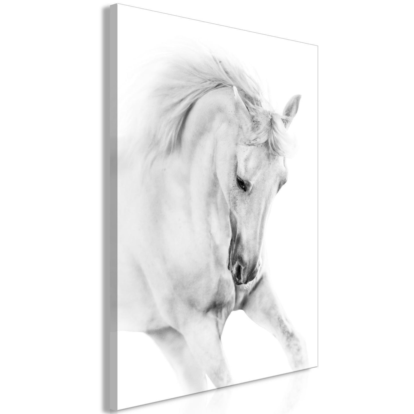Wandbild „Weißes Pferd“ – 1-teilig, Vertikal