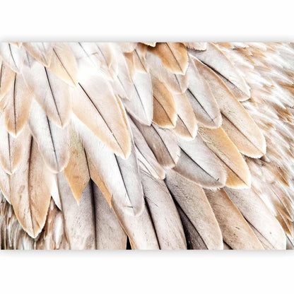 Fototapete - Close-up of bird's wings - uniform close-up on beige bird feathers