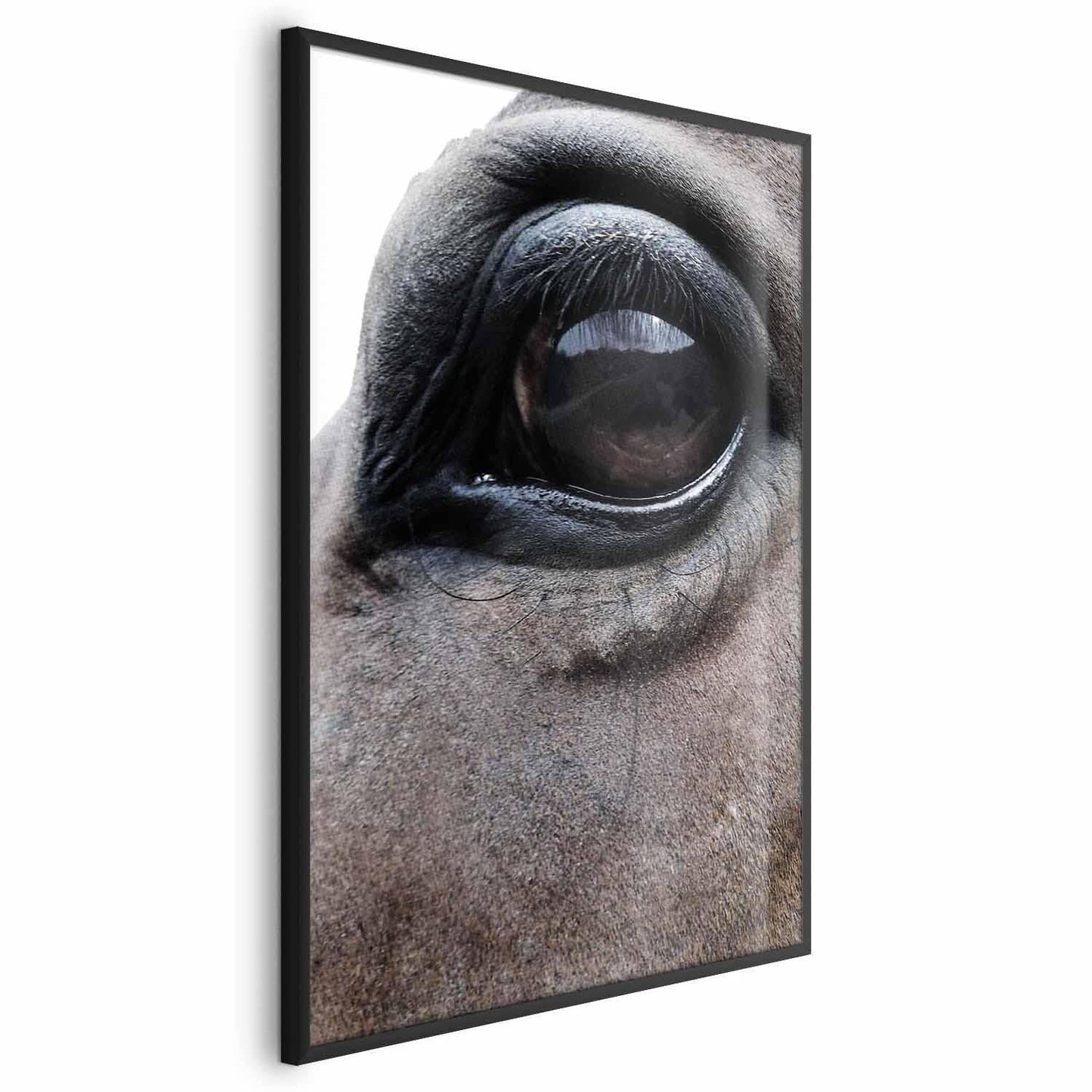 Poster - Honest Eyes Artgeist