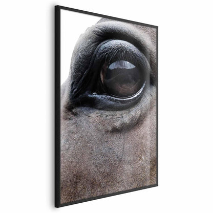 Poster - Honest Eyes Artgeist