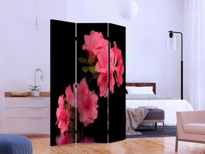 Paravent - Azalea in Black Artgeist