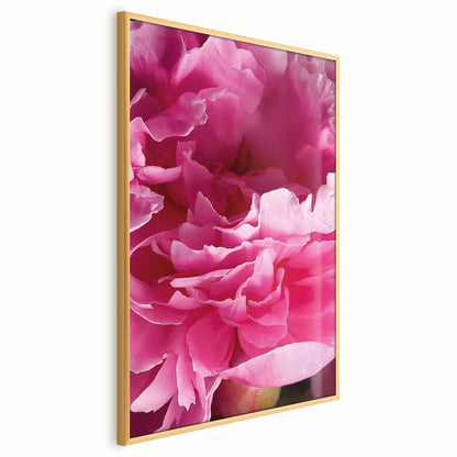 Poster - Beautiful Peonies Artgeist