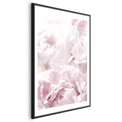 Poster - Fluffy Peonies