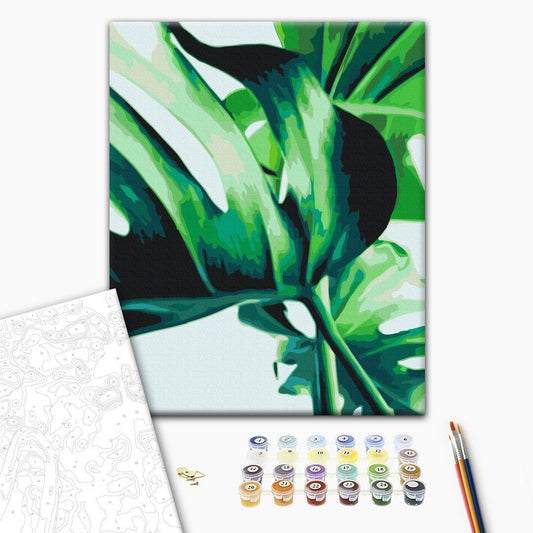 Malen nach Zahlen - Monstera Adansonii