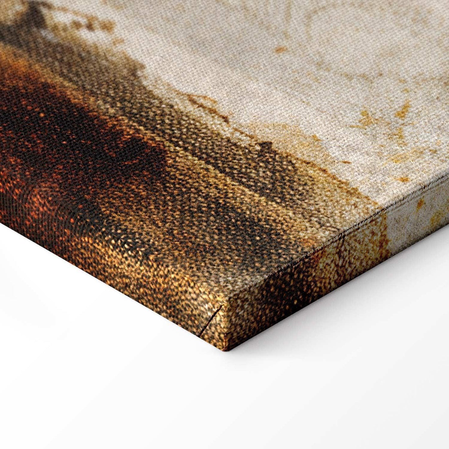 Leinwandbild - Birds from an old engraving - vintage-style illustration depicting a heron and a crane