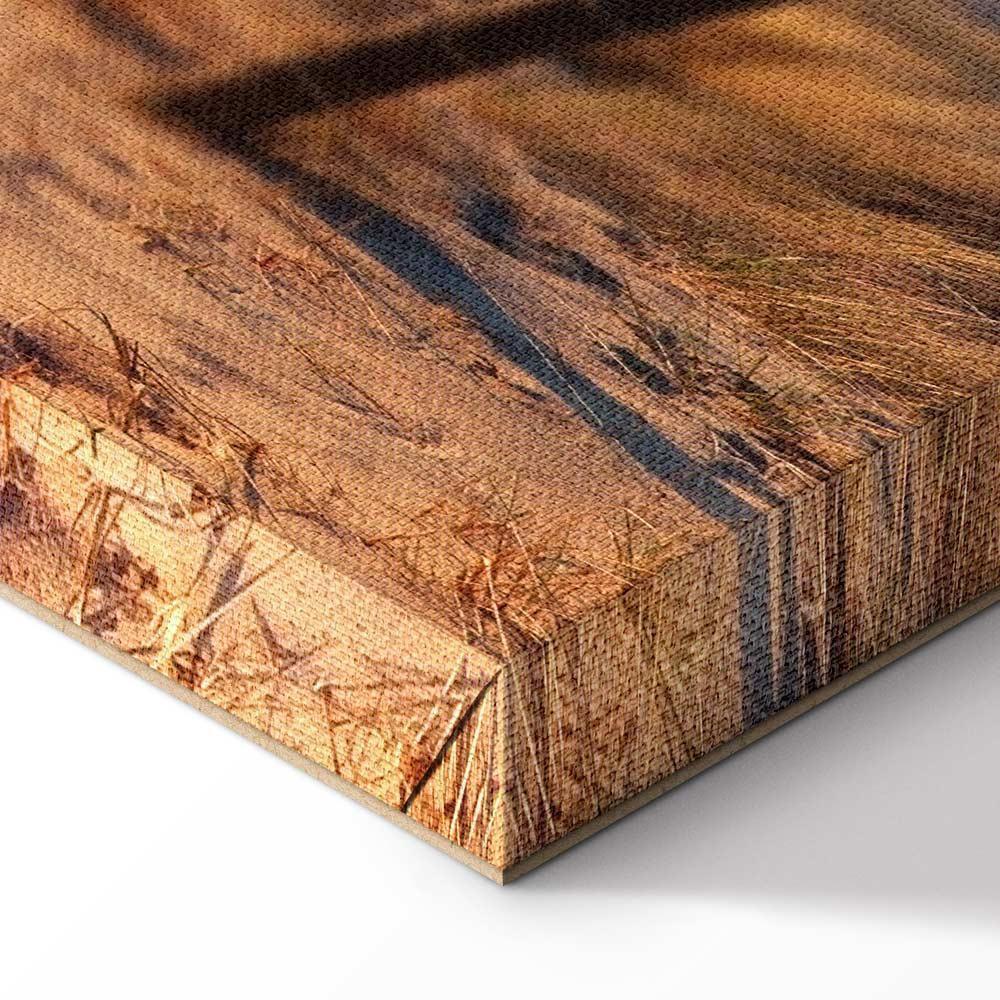 Leinwandbild - Sunset Path