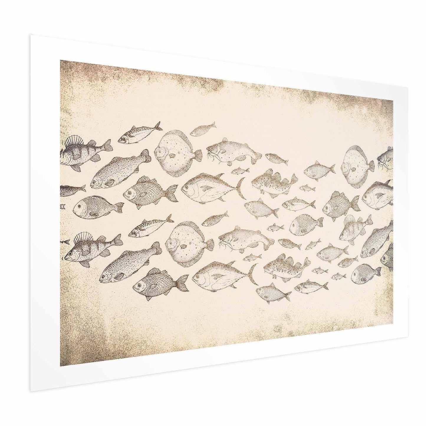 Poster - Subtle Little Fish Artgeist