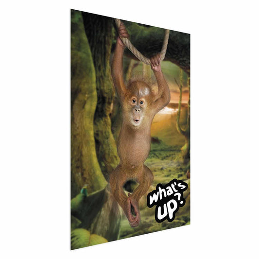 Poster - What's Up? Artgeist