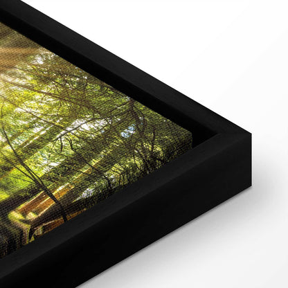 Leinwandbild „Tageslicht“ – Sanftes Sonnenlicht trifft Natur