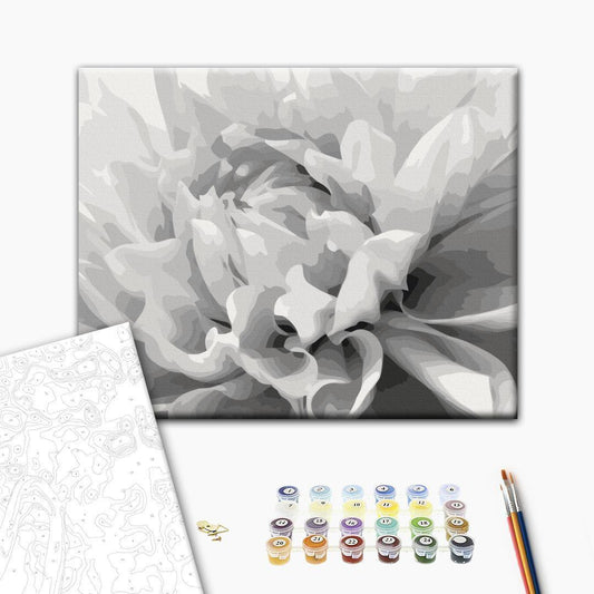 Malen nach Zahlen - Black & White Flower