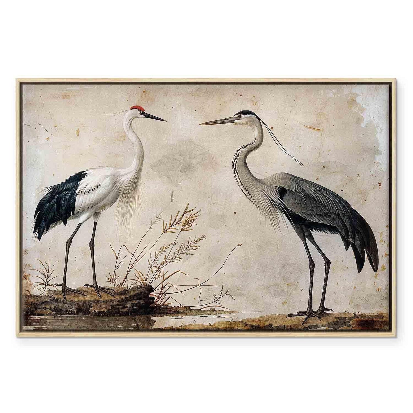 Leinwandbild - Birds from an old engraving - vintage-style illustration depicting a heron and a crane