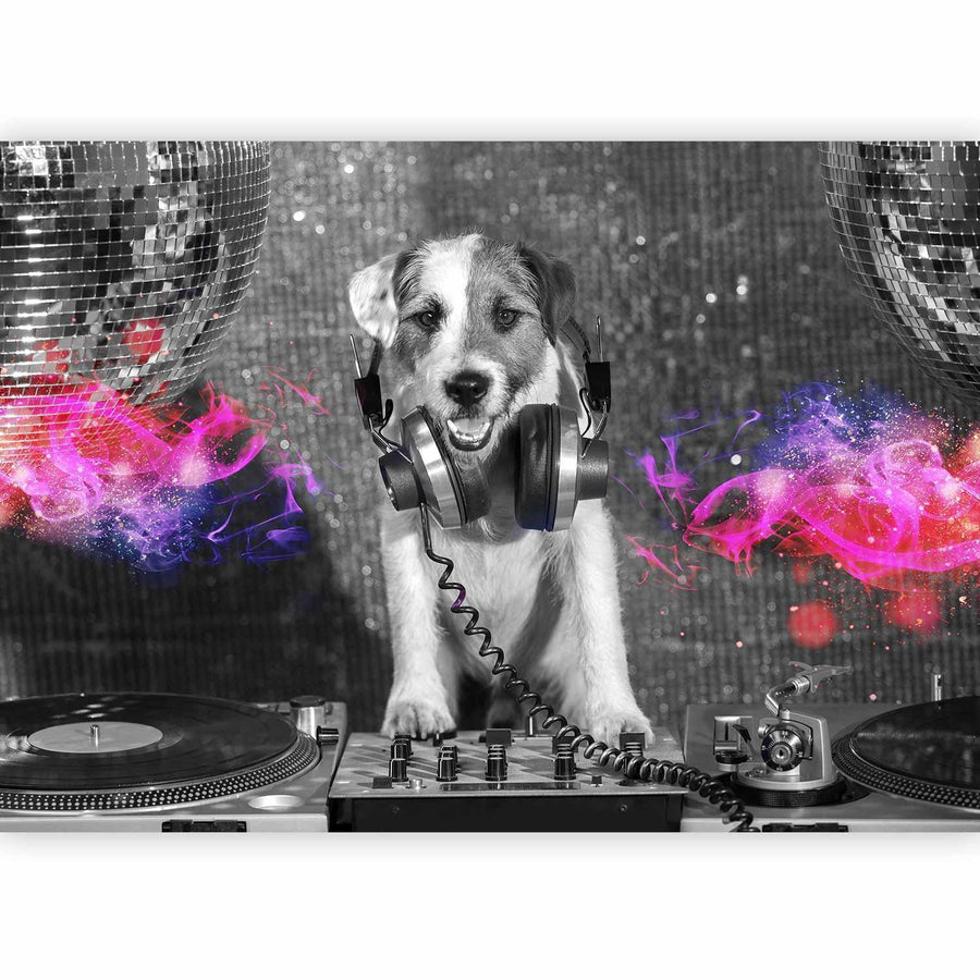 Fototapete - DJ Dog Artgeist