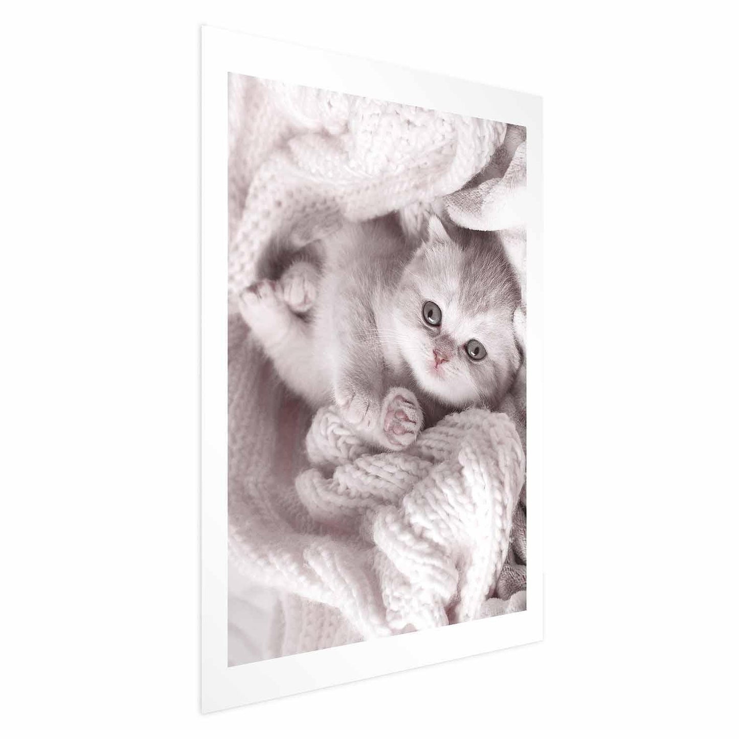 Poster - Lover of Rest