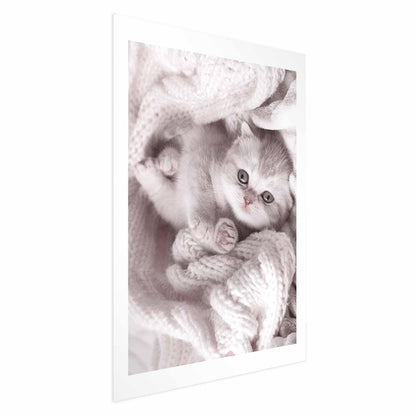 Poster - Lover of Rest