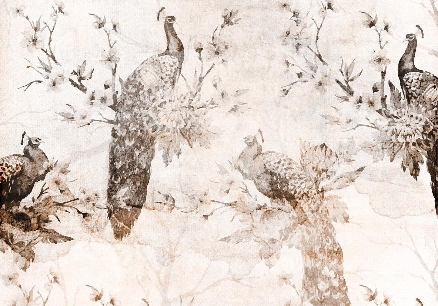 Fototapete - Peacocks in Delicate Beige Artgeist
