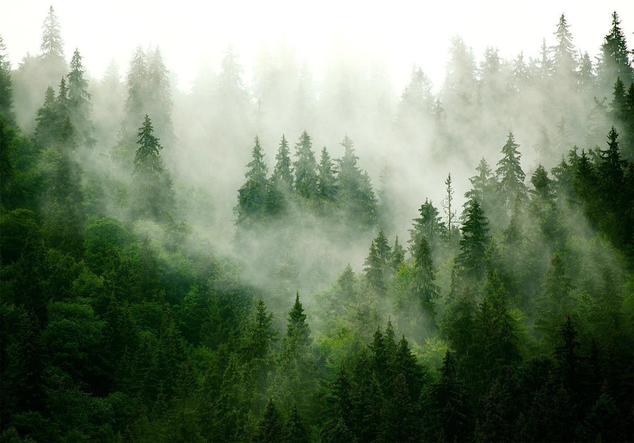 Fototapete - Mountain Forest (Green) Artgeist