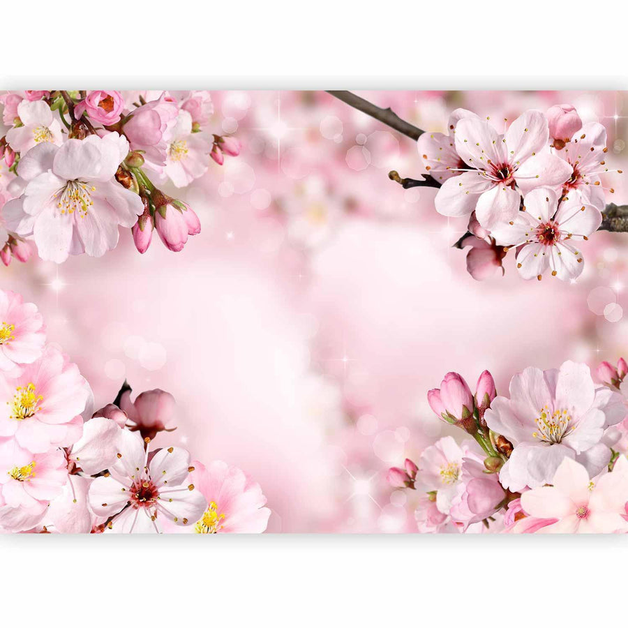 Fototapete „Frühlingshafte Kirschblüte“ – Zarte Blütenpracht für dein Zuhause sawelt.eu