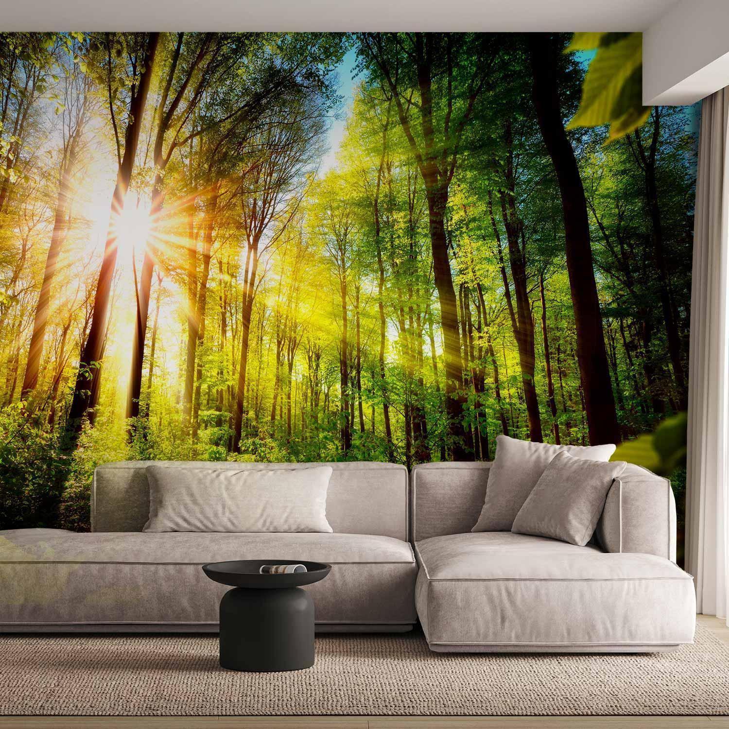 Fototapete - Forest Hideout Artgeist