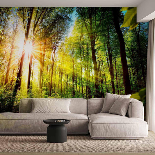Fototapete - Forest Hideout Artgeist