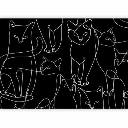 Fototapete „Cat Habits“ – Verspielte Katzenmotive für Katzenliebhaber Artgeist