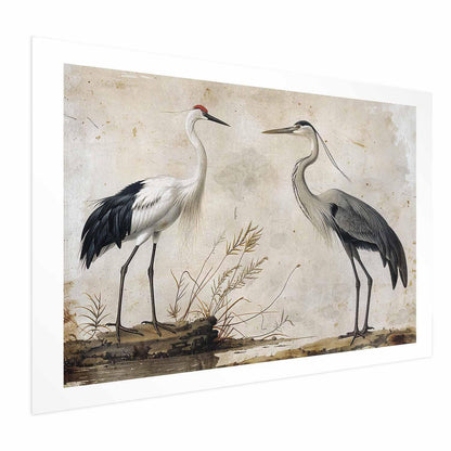 Poster - Birds from an Old Engraving - vintage-style illustration of a heron and a crane Artgeist