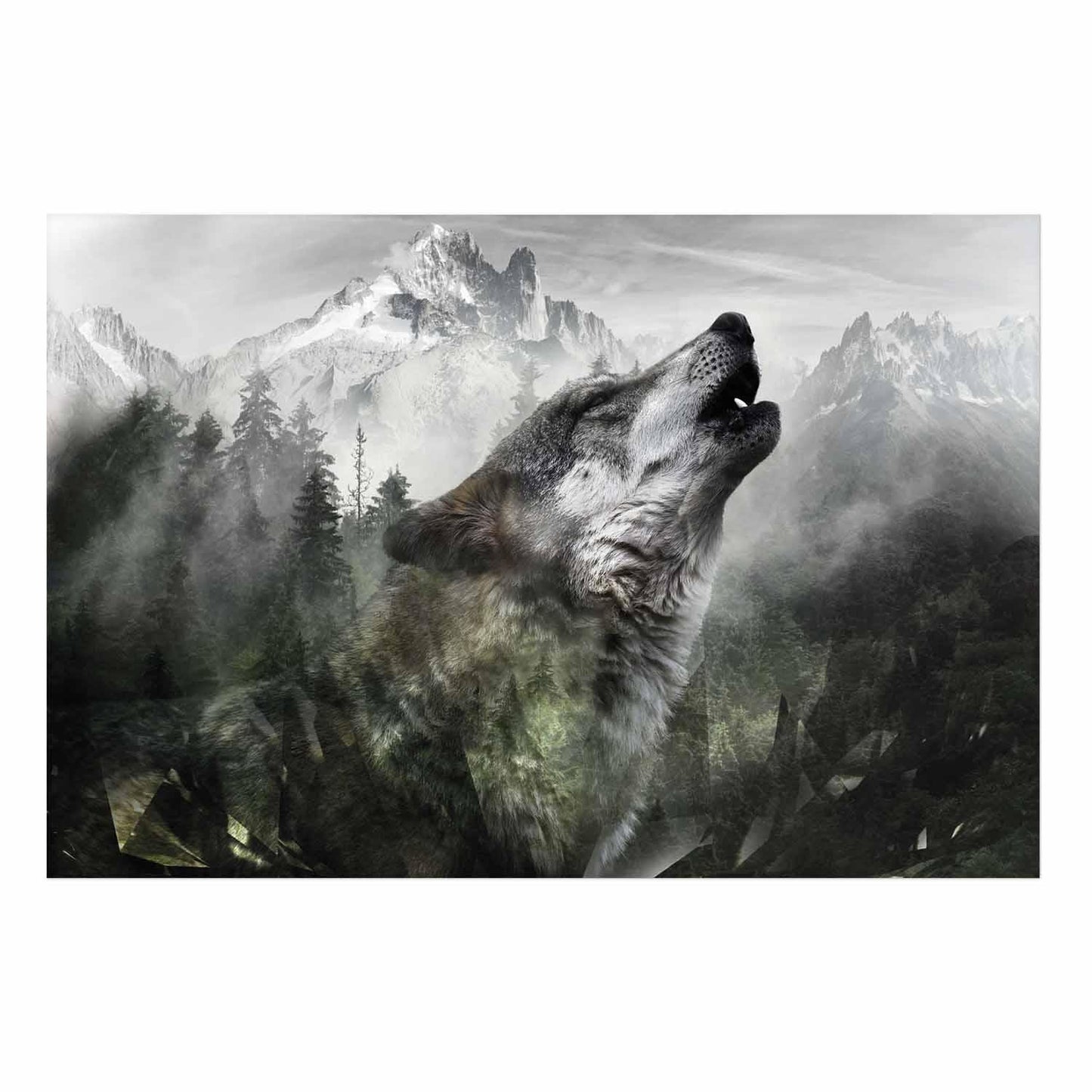 Poster - Howling Wolf