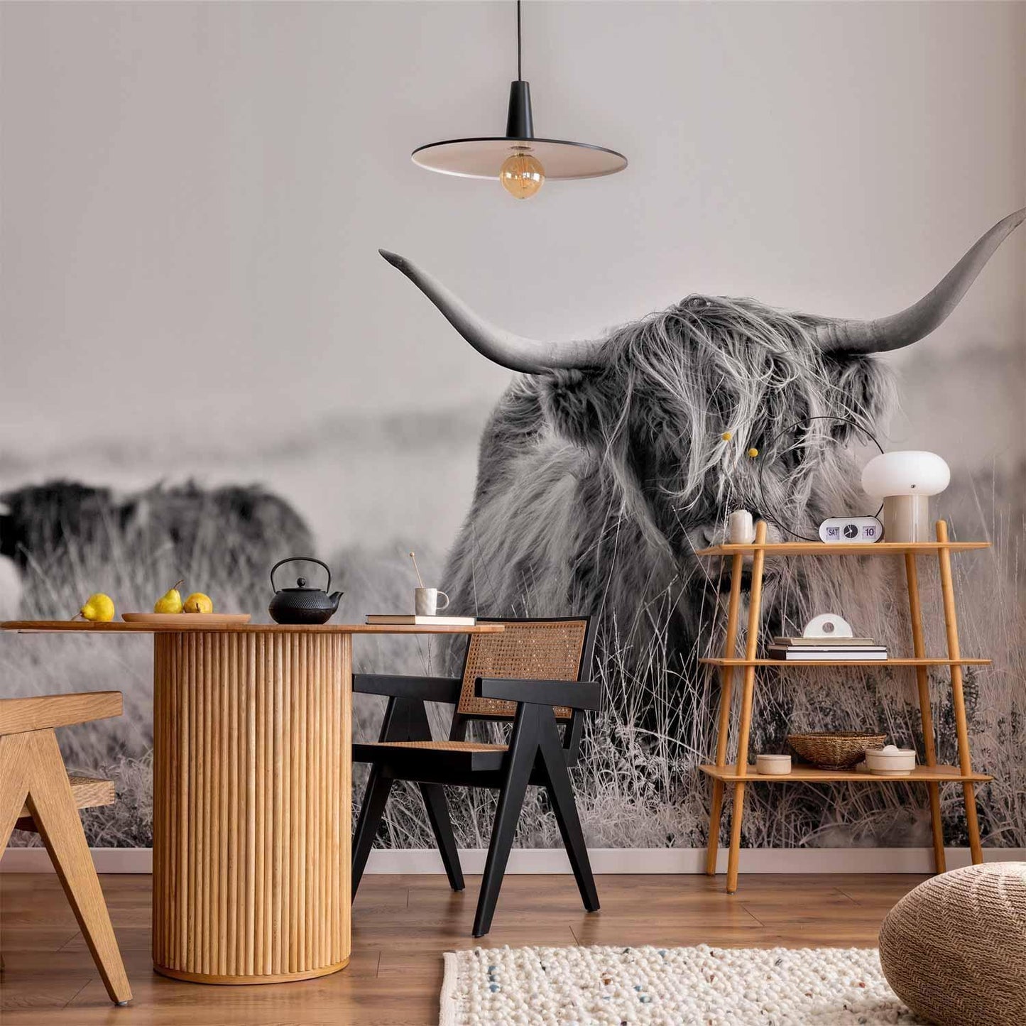 Fototapete - Highland Cattle