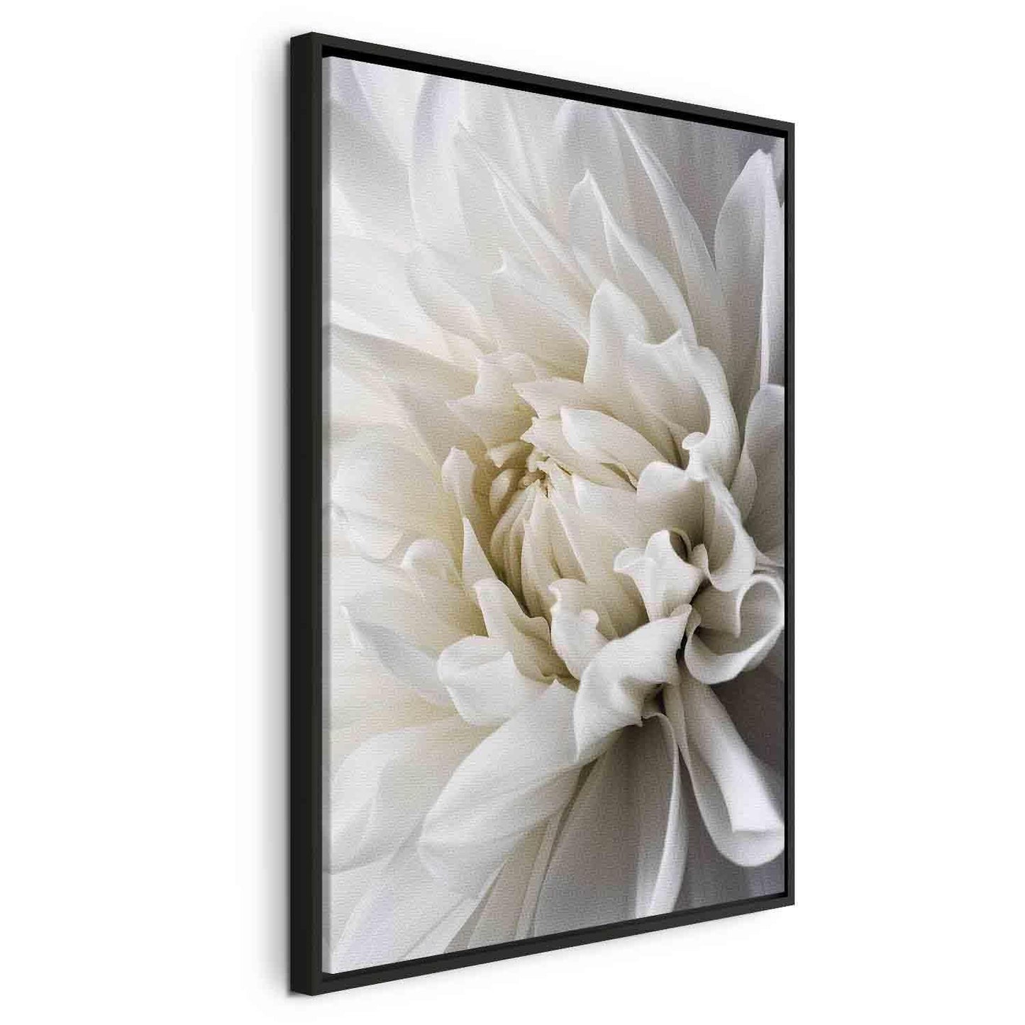 Canvas art featuring a detailed white dahlia flower, framed elegantly.
