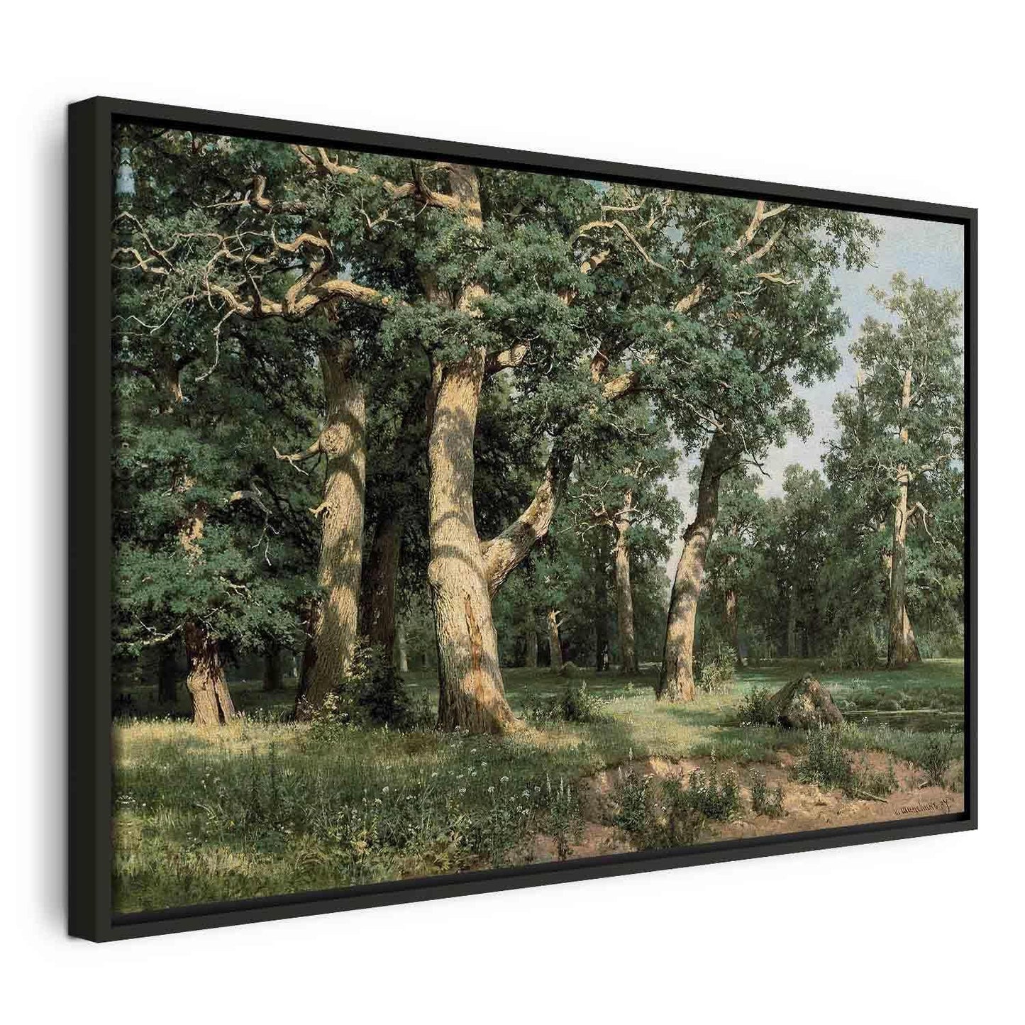 Leinwandbild - Ivan Shishkin – Oak Forest