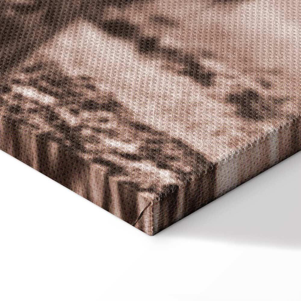 Leinwandbild - A Scottish Cow in Sepia