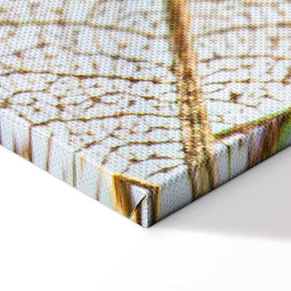 Leinwandbild - Moment (1 Part) Wide