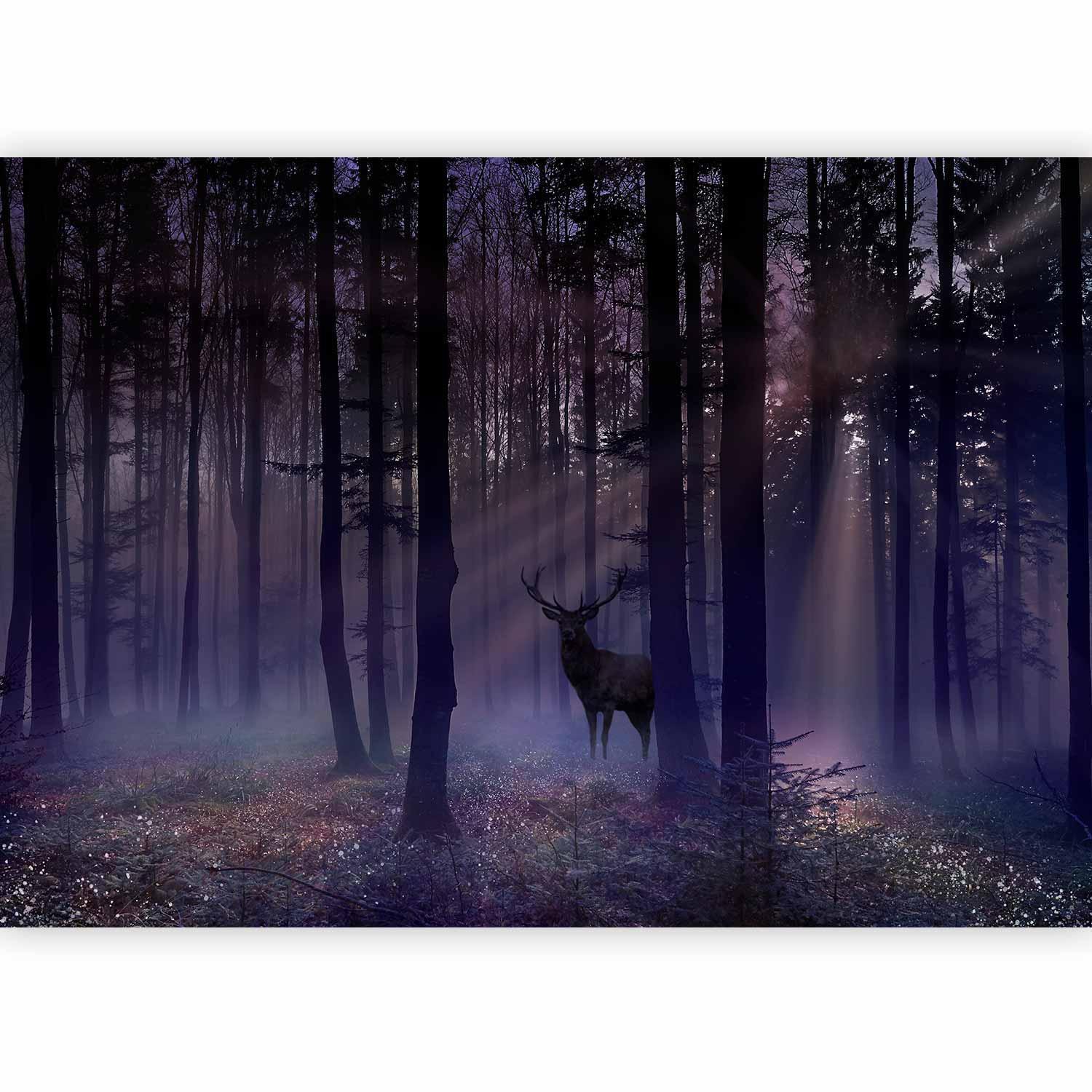 Fototapete - Mystical Forest - Second Variant Artgeist