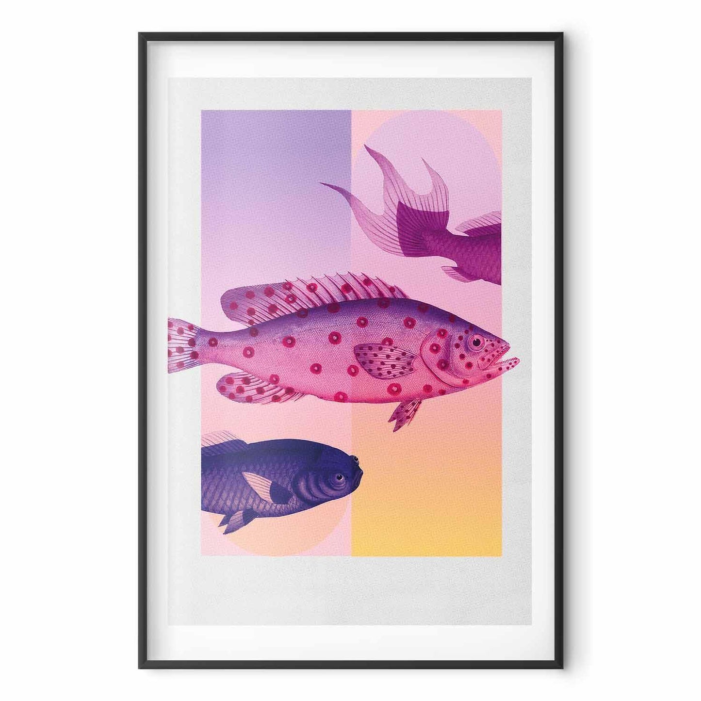 Poster - Fantastic Fish - artistic illustration of fish on a colorful background