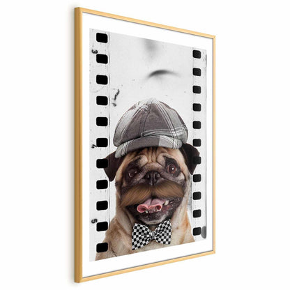 Poster - Pug in a Hat Artgeist