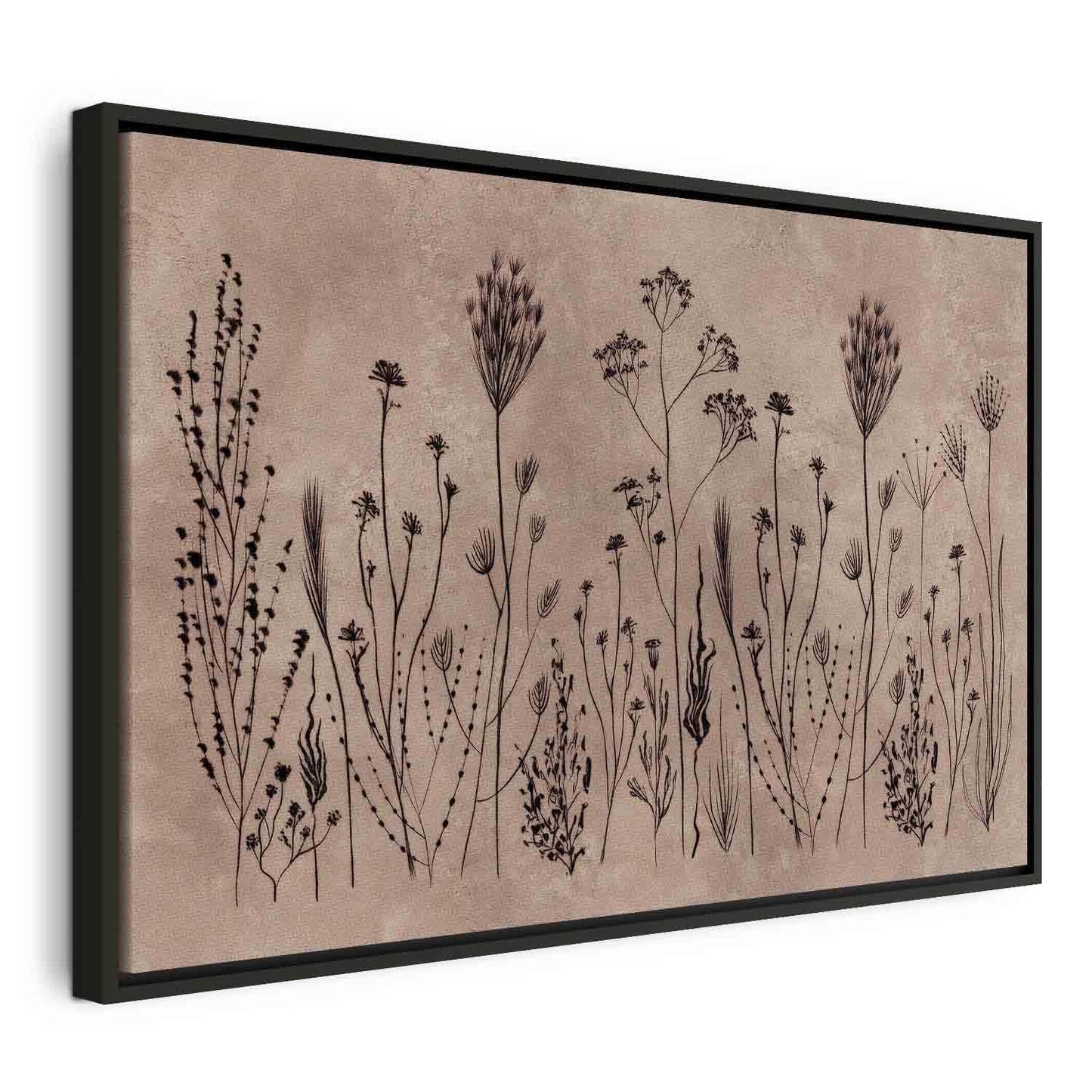 Leinwandbild - Wildflowers – black plants on lime-wash background