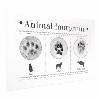 Poster featuring animal footprints of cat, wolf, and polar bear in premium quality, ideal for interior decoration.