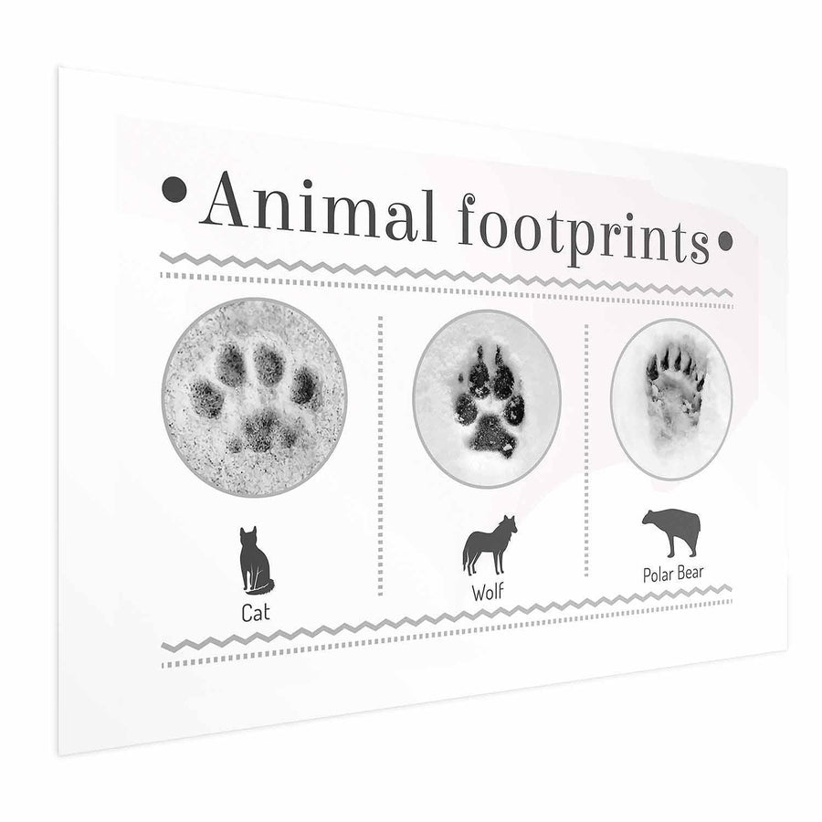 Poster featuring animal footprints of cat, wolf, and polar bear in premium quality, ideal for interior decoration.