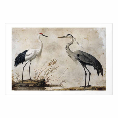 Poster - Birds from an Old Engraving - vintage-style illustration of a heron and a crane