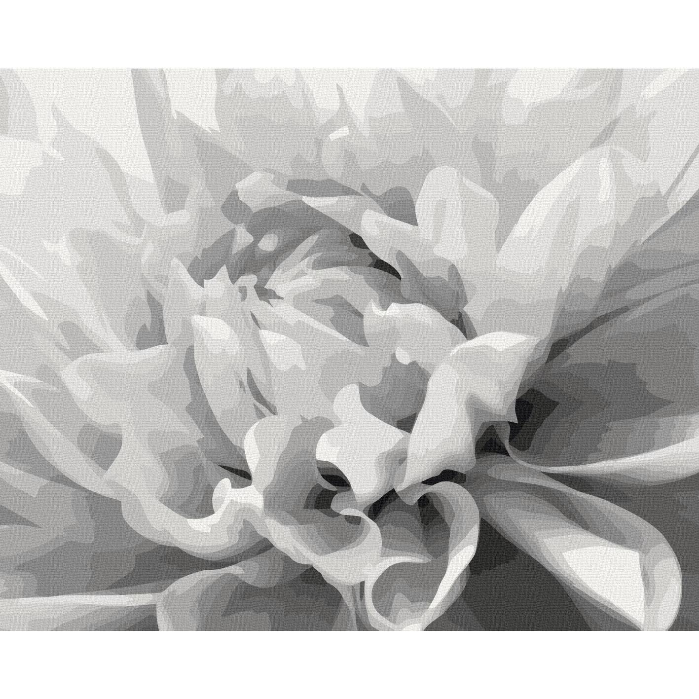 Malen nach Zahlen - Black & White Flower