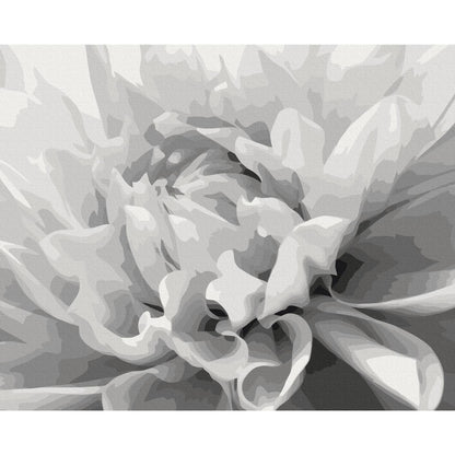 Malen nach Zahlen - Black & White Flower