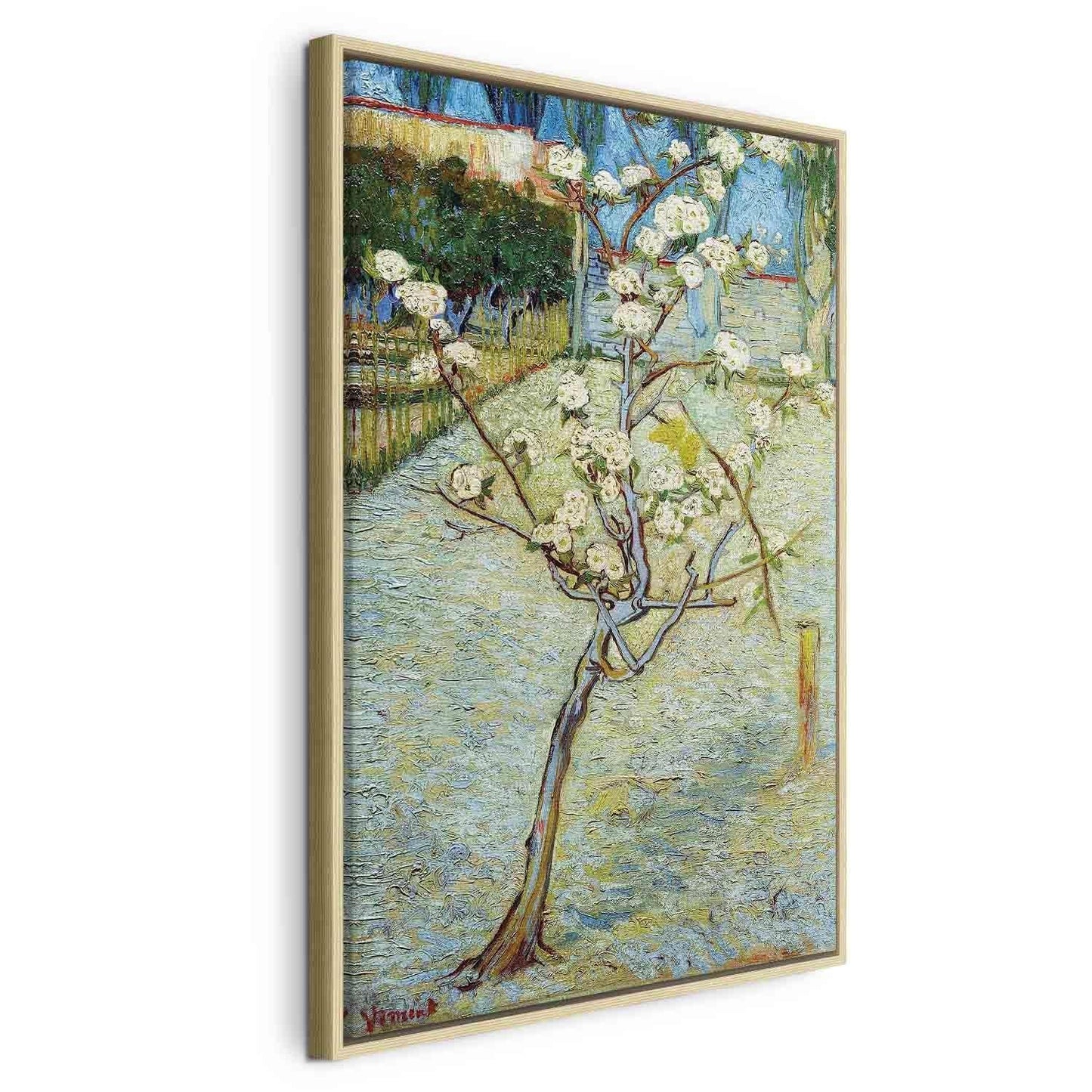Leinwandbild - Blossoming Pear Tree Artgeist