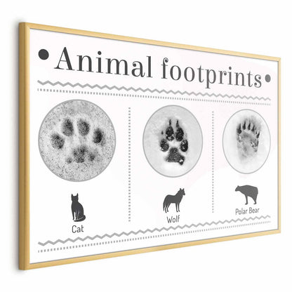 Animal paw prints poster featuring cat, wolf, and polar bear tracks in a wooden frame.