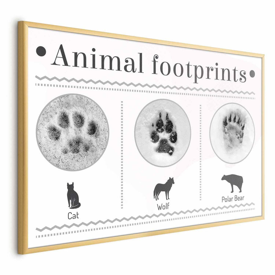 Animal paw prints poster featuring cat, wolf, and polar bear tracks in a wooden frame.