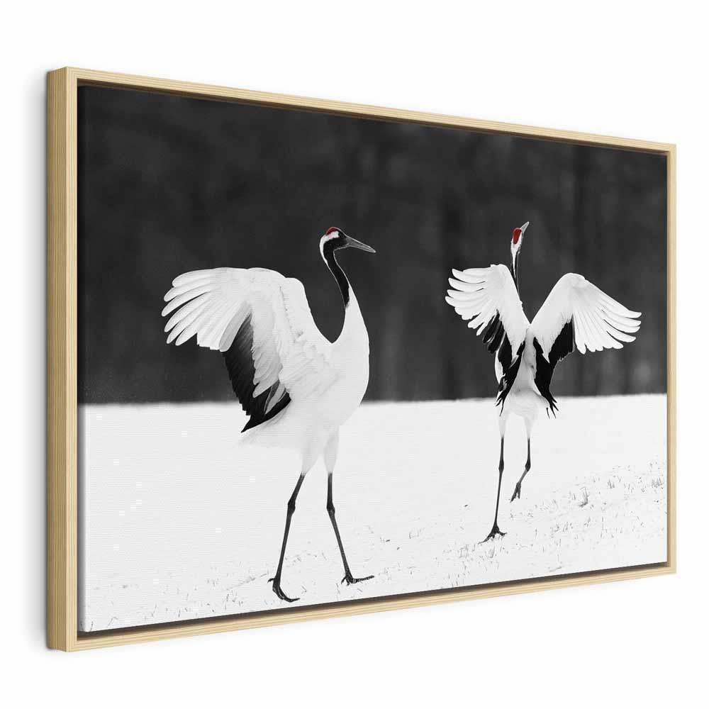 Leinwandbild - Dancing Cranes (1 Part) Wide