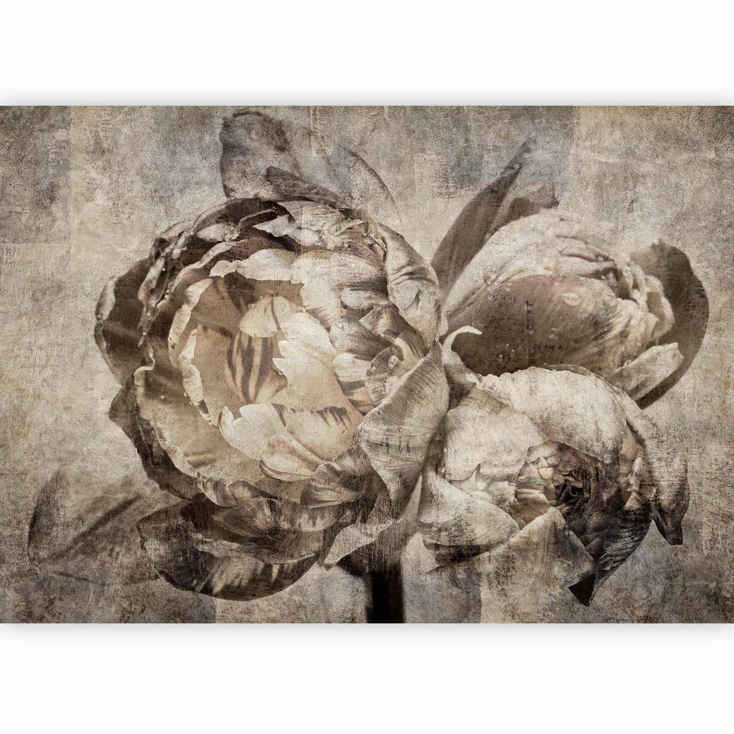 Fototapete - Industrial Bunch