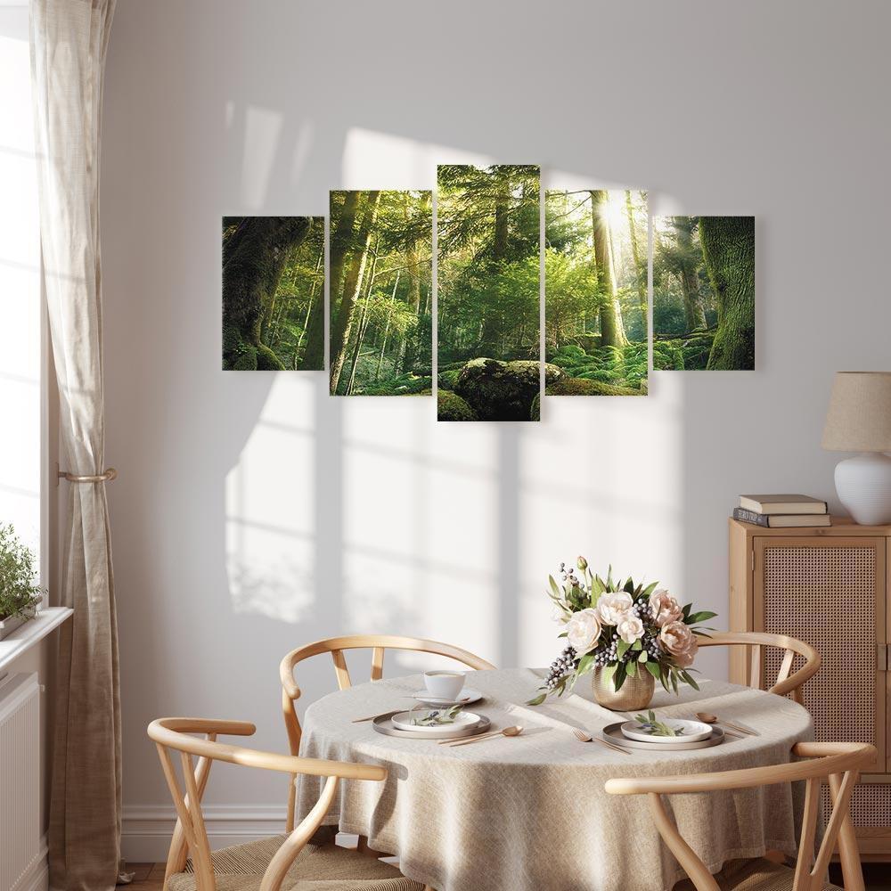 Leinwandbild - The Beauty of the Forest