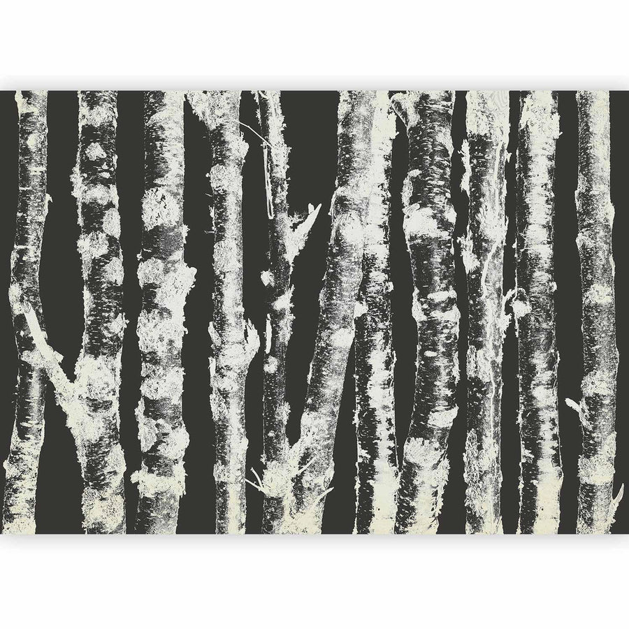 Fototapete - Stately Birches - Second Variant Artgeist