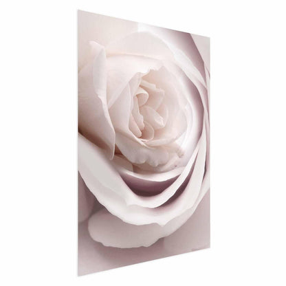 Poster Porzellan-Rose – Zarte Eleganz in Rosé