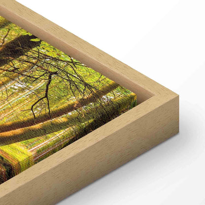 Leinwandbild Herbstträume – Stimmungsvolle Naturkunst in warmen Farben